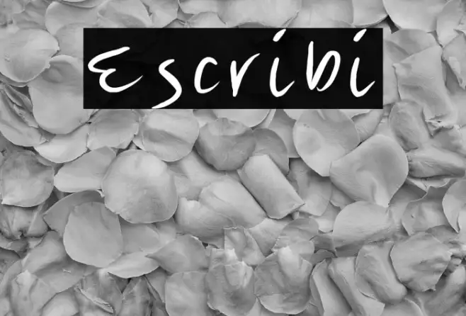Escribi Example 3