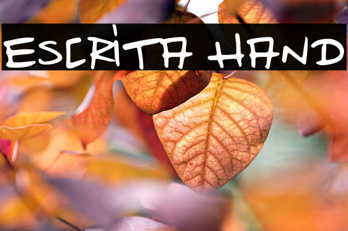 Escrita Hand Example 2