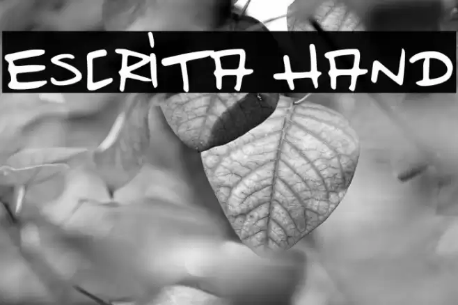 Escrita Hand Font examples