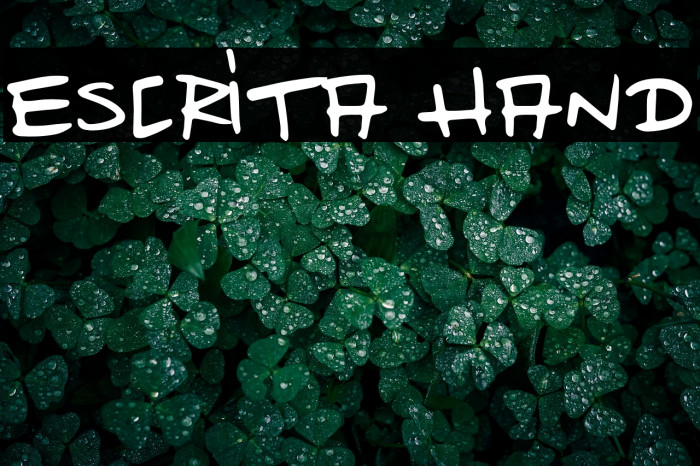 Escrita Hand Example 3