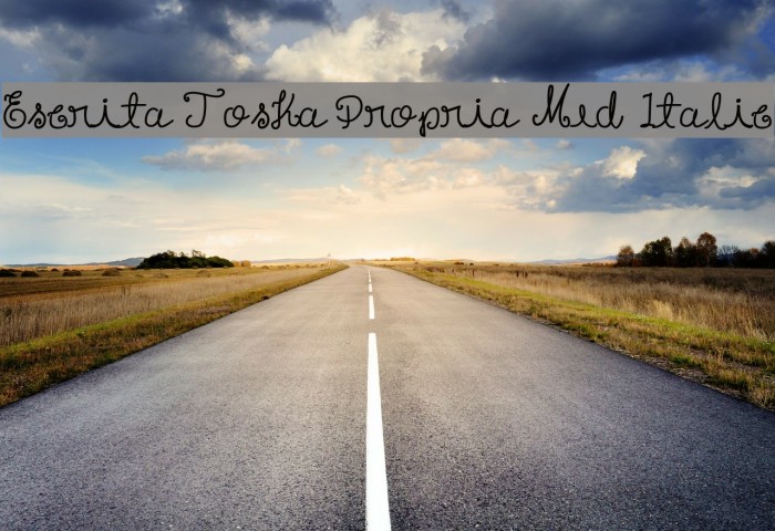 Escrita Toska Propria Med Italic Font examples