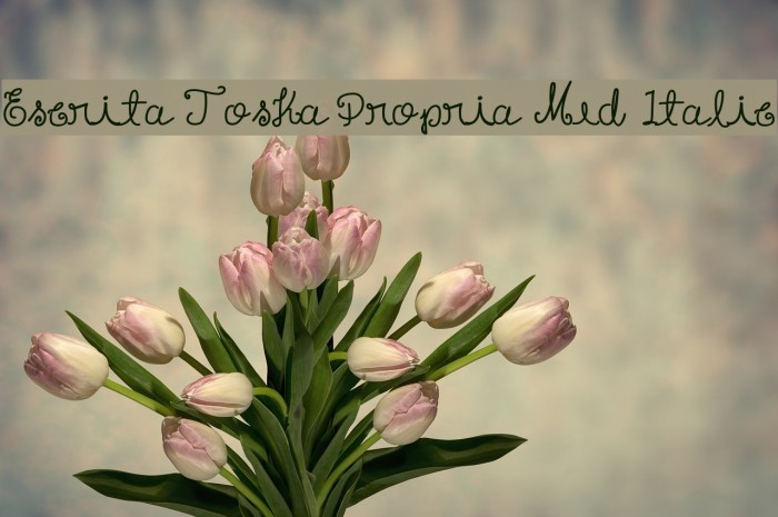 Escrita Toska Propria Med Italic Font examples
