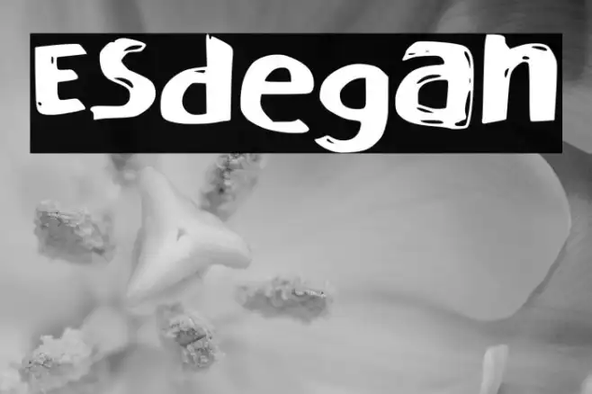 Esdegan Example 2
