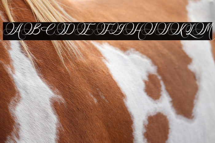 Esdoria Journey Example 1