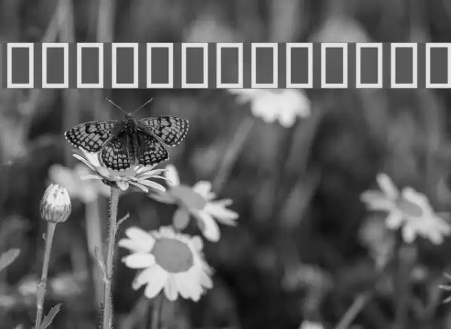 Esfahaan Font examples