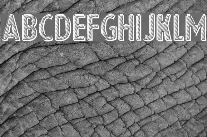 Eshop Advert Font examples