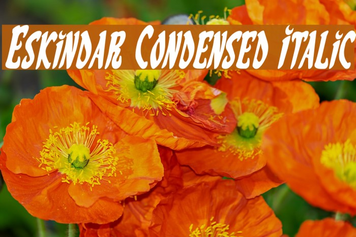 Eskindar Condensed Italic Font examples
