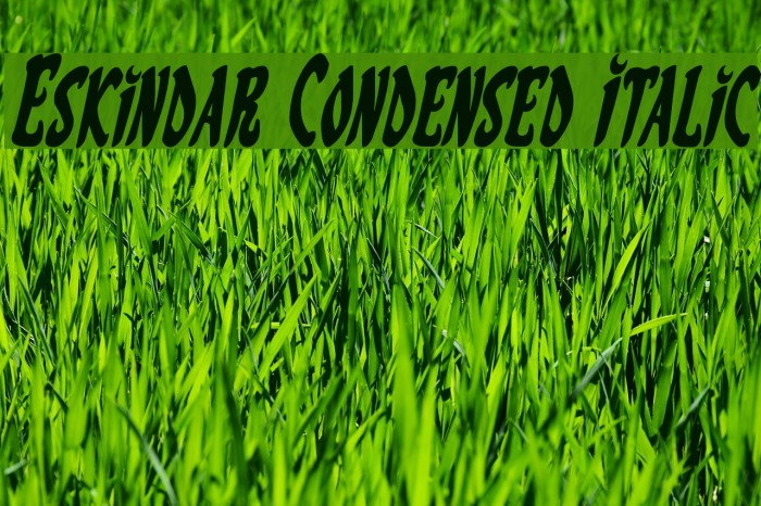 Eskindar Condensed Italic Font examples