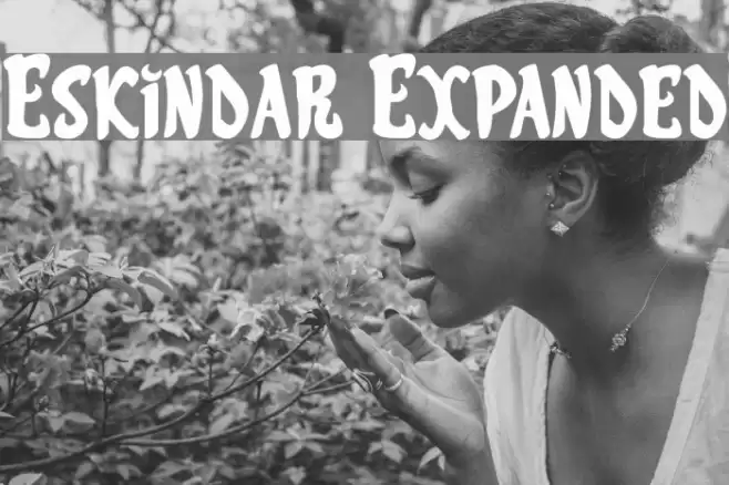 Eskindar Expanded Font examples