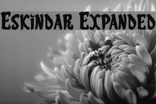 Eskindar Expanded Font examples