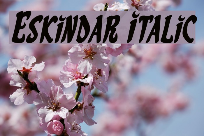 Eskindar Italic Font examples