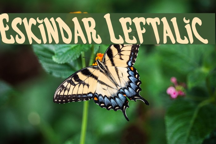 Eskindar Leftalic Font examples