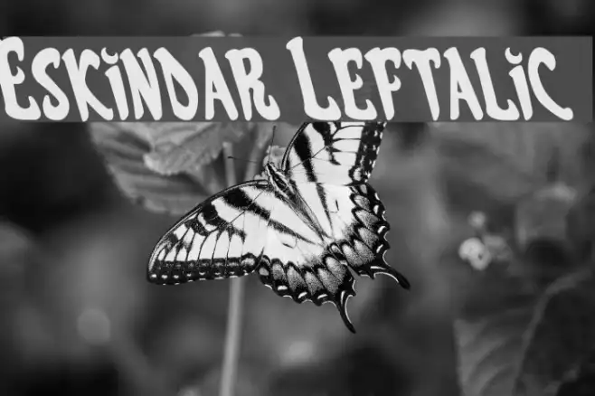 Eskindar Leftalic Example 1