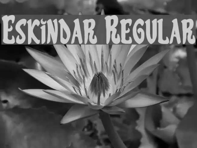 Eskindar Regular Font examples
