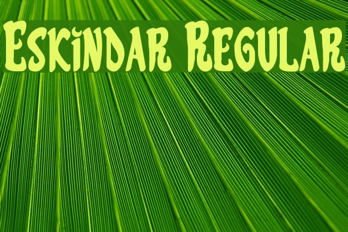 Eskindar Regular Font examples