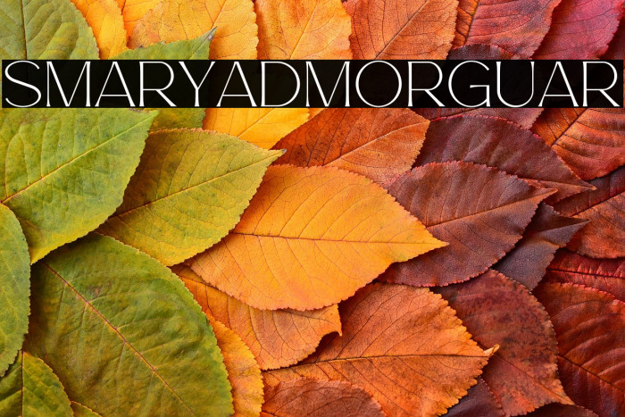 Esmarya Demo Regular Example 2