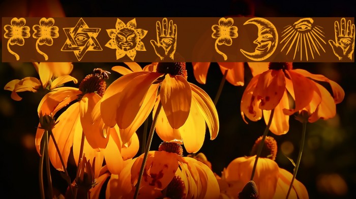 Esoterica Regular Example 3