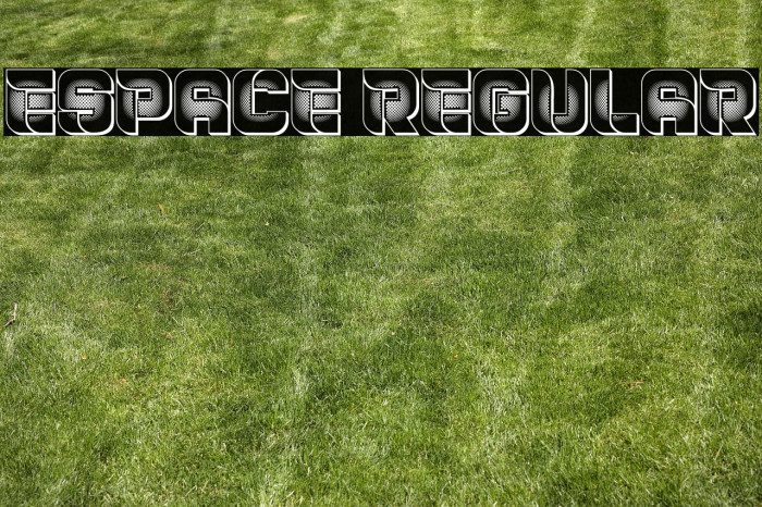 Espace Regular Example 2