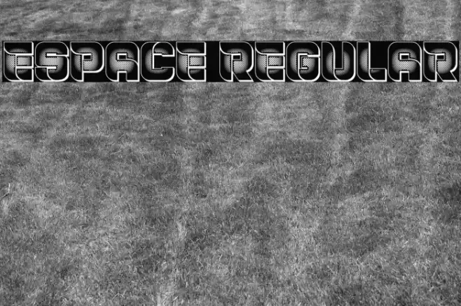 Espace Regular Font examples