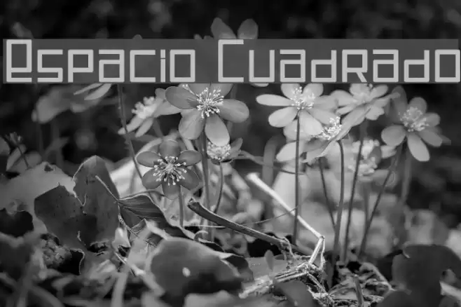 Espacio Cuadrado Font examples