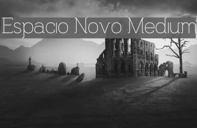 Espacio Novo Medium Font examples