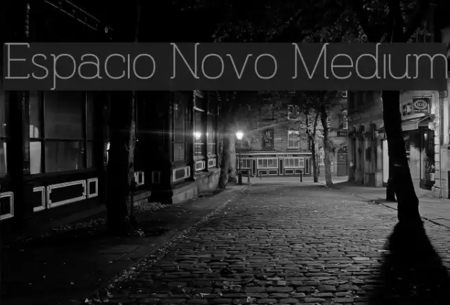 Espacio Novo Medium Font examples