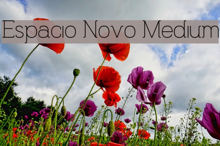 Espacio Novo Medium Font examples
