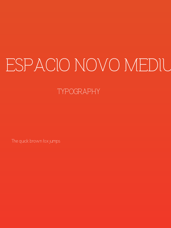 Espacio Novo Medium Poster