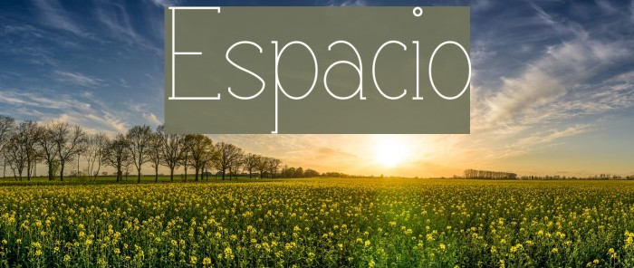 Espacio Font examples