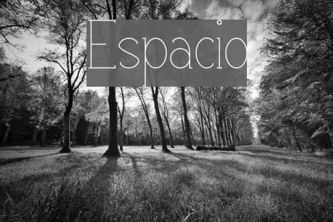 Espacio Font examples