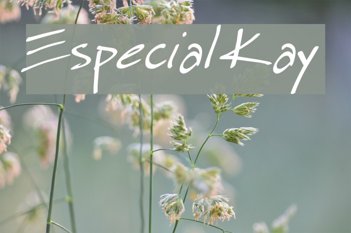Especial Kay Font examples