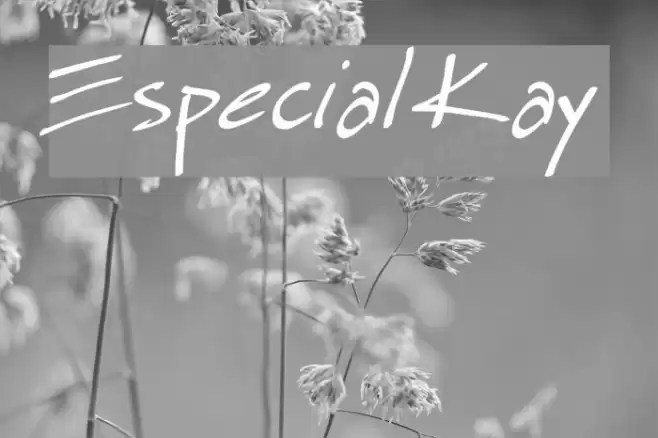 Especial Kay Шрифта examples