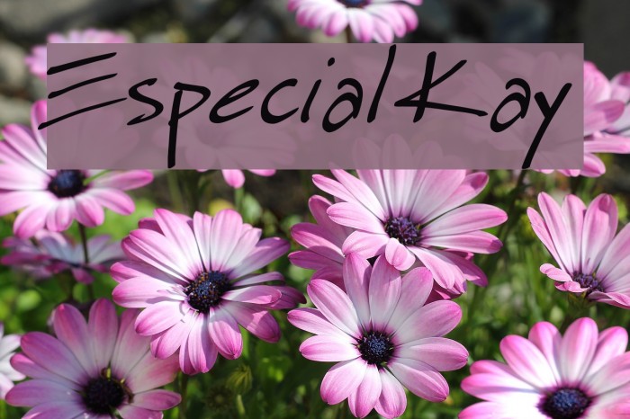 Especial Kay Font examples