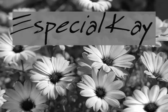 Especial Kay Шрифта examples