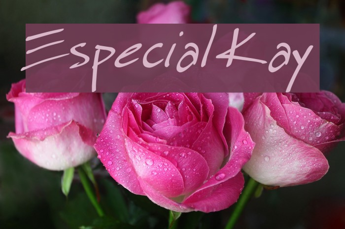 Especial Kay Font examples