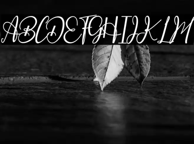 Especially Шрифта examples