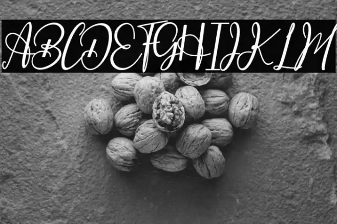 Especially Шрифта examples