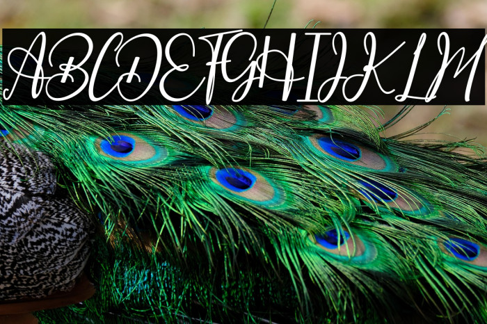 Especially Example 3