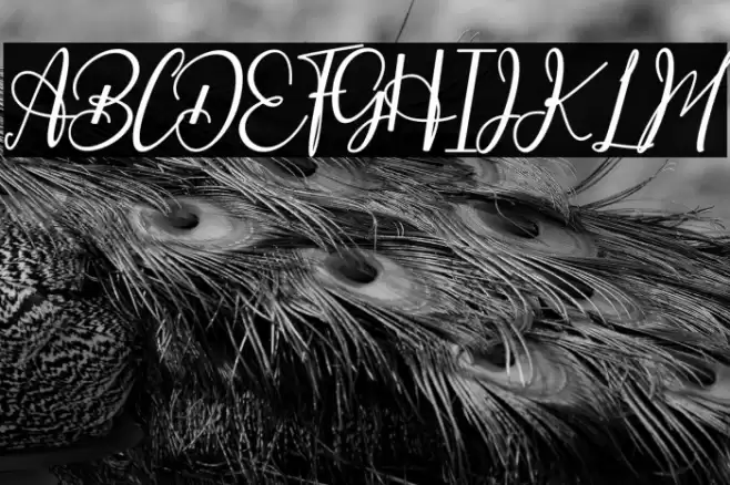 Especially Шрифта examples