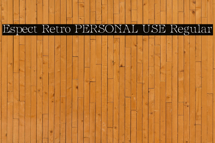 Espect Retro PERSONAL USE Regular Example 1