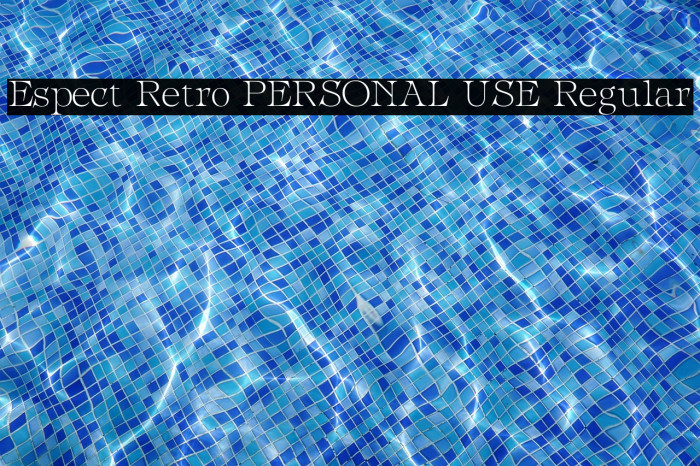 Espect Retro PERSONAL USE Regular Example 2