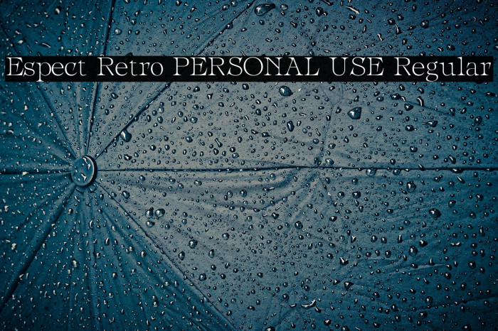 Espect Retro PERSONAL USE Regular Example 3