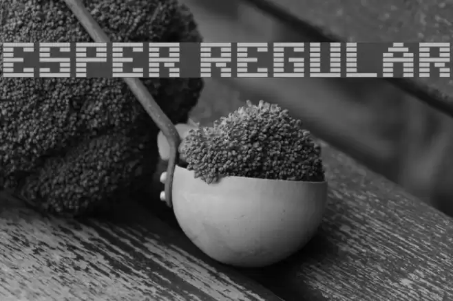 Esper Regular Font examples