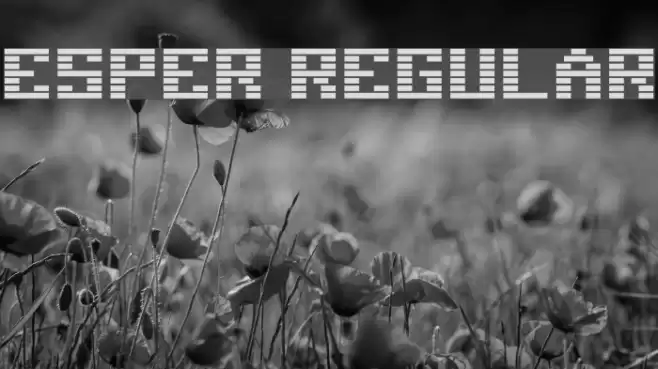 Esper Regular Font examples