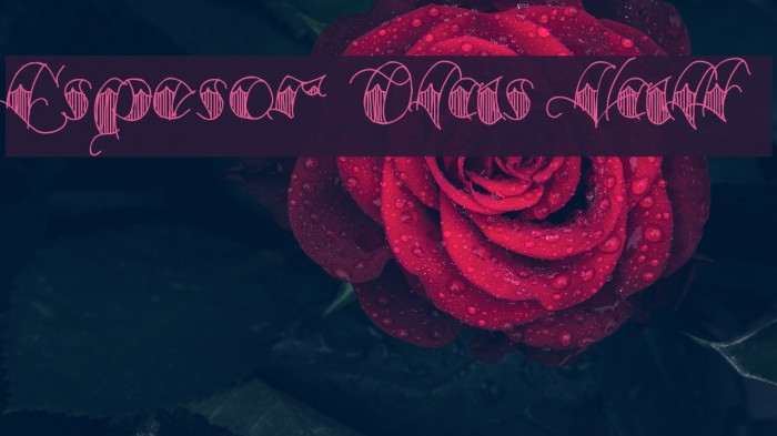 Espesor Olas Half Font examples