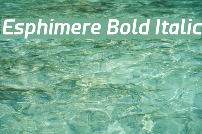 Esphimere Bold Italic Font examples