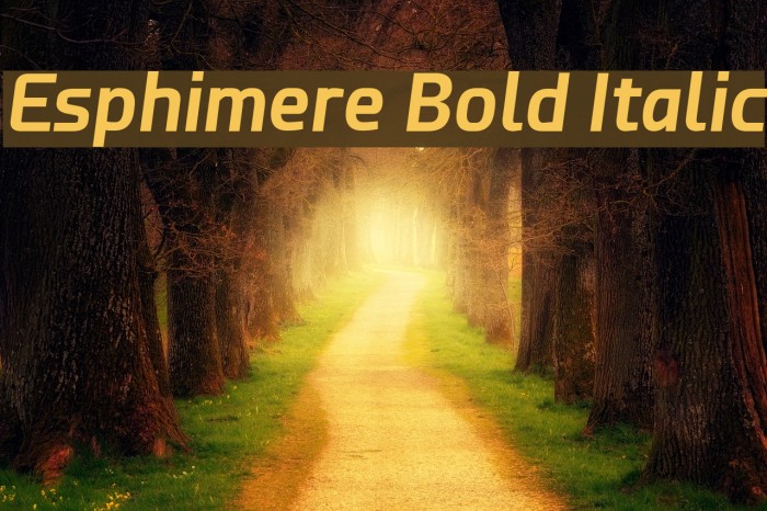Esphimere Bold Italic Font examples