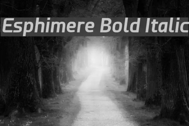 Esphimere Bold Italic  examples