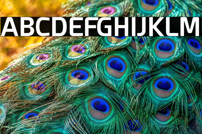 Esphimere Bold Example 3