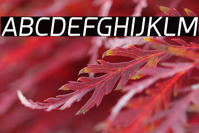 Esphimere Italic Example 1